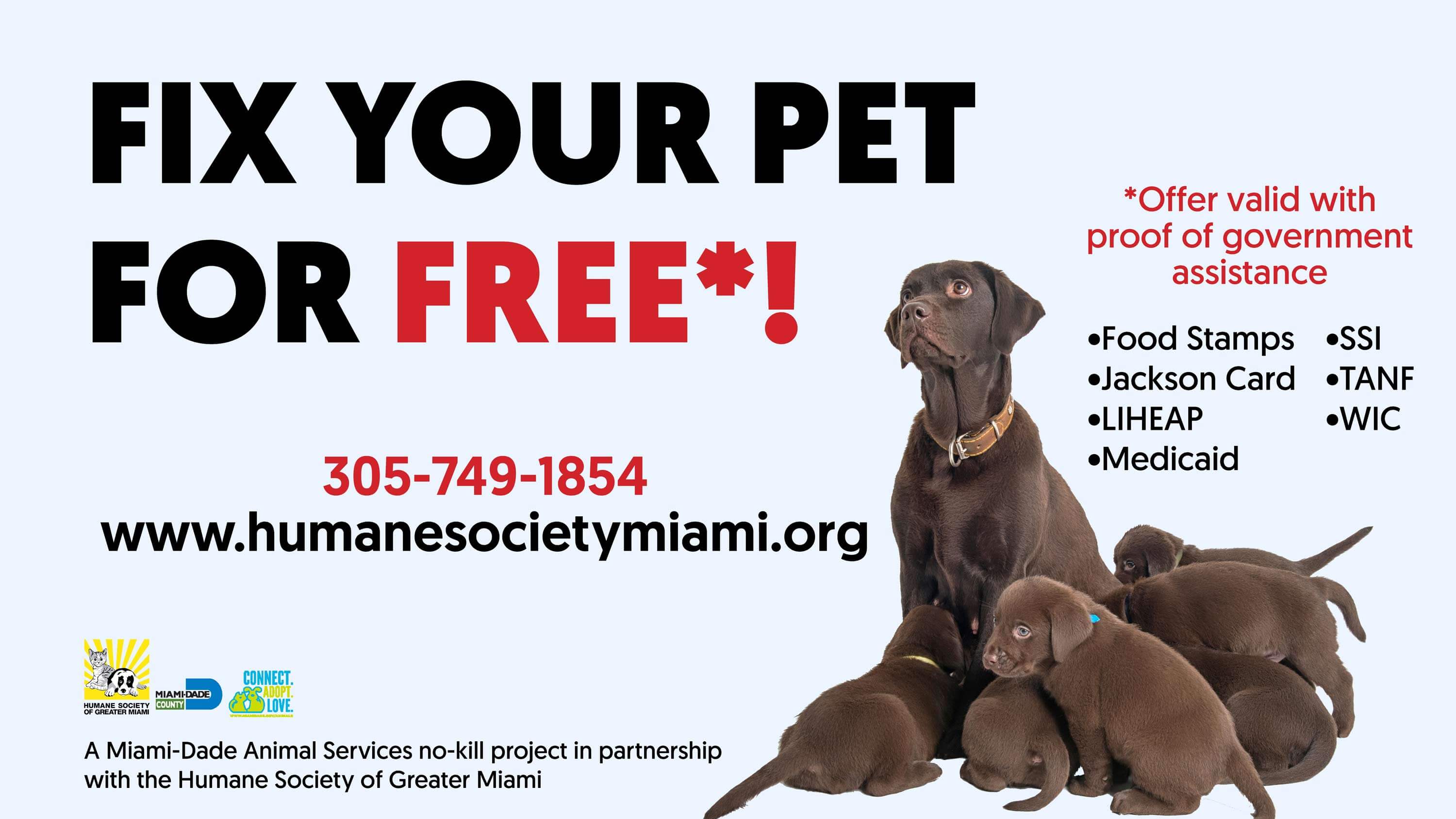 Specials And Discounts Humane Society Of Greater Miami Humane