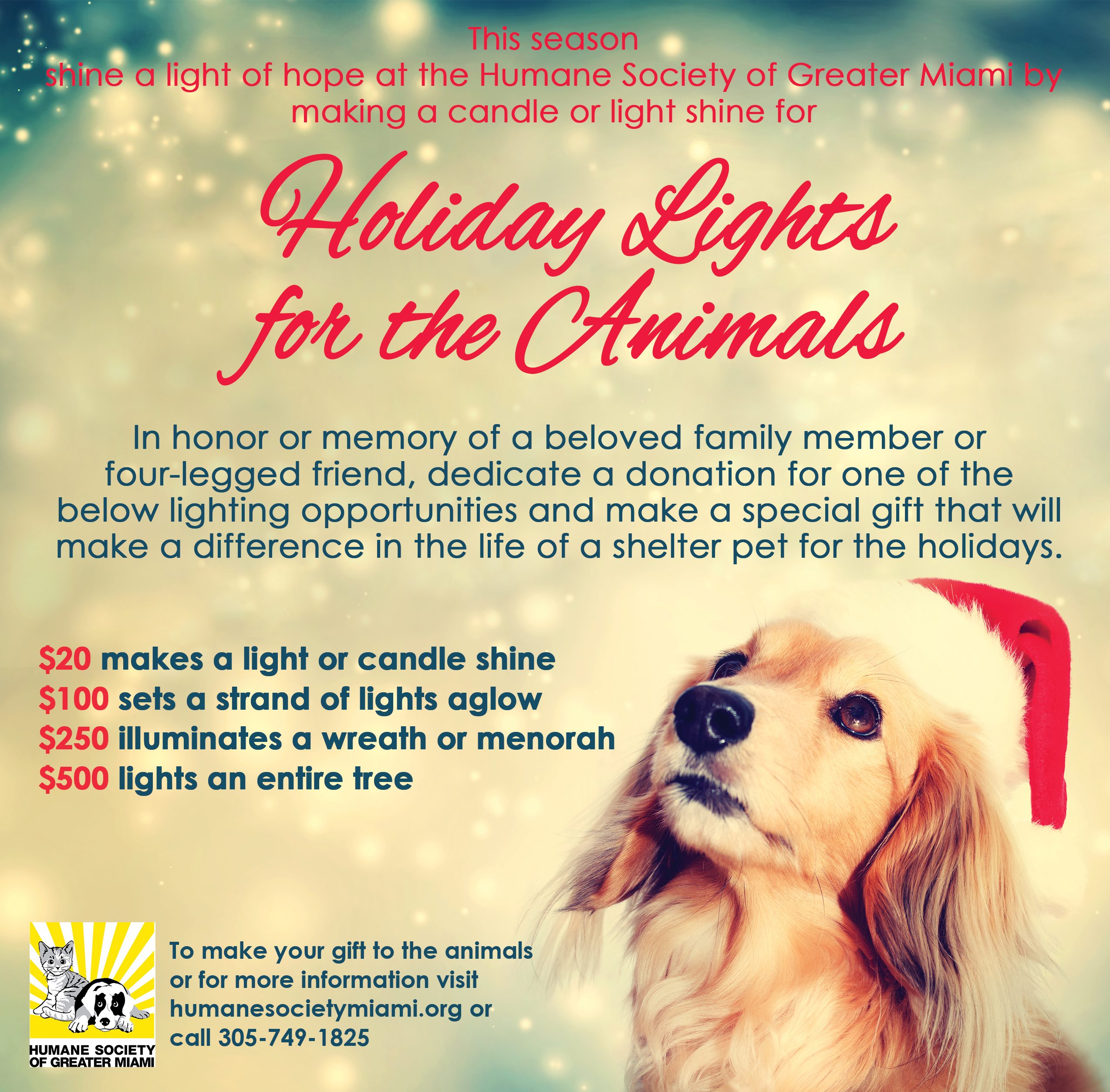 Holiday Lights for the Animals Humane Society of Miami