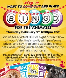 Bingo Eblast Invite – February 2023