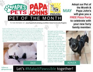 5. May Papas Pets &#8211; Azalea and Dice