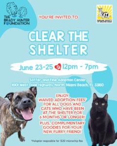 Clear the Shelter 2023 Flyer