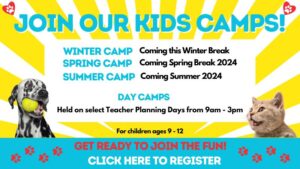 Camps Promo Banner – Click Here