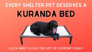 Kuranda Bed Donation Banner