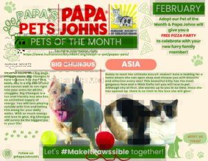 February 2024 Papa’s Pets – Big Chungus and Asia